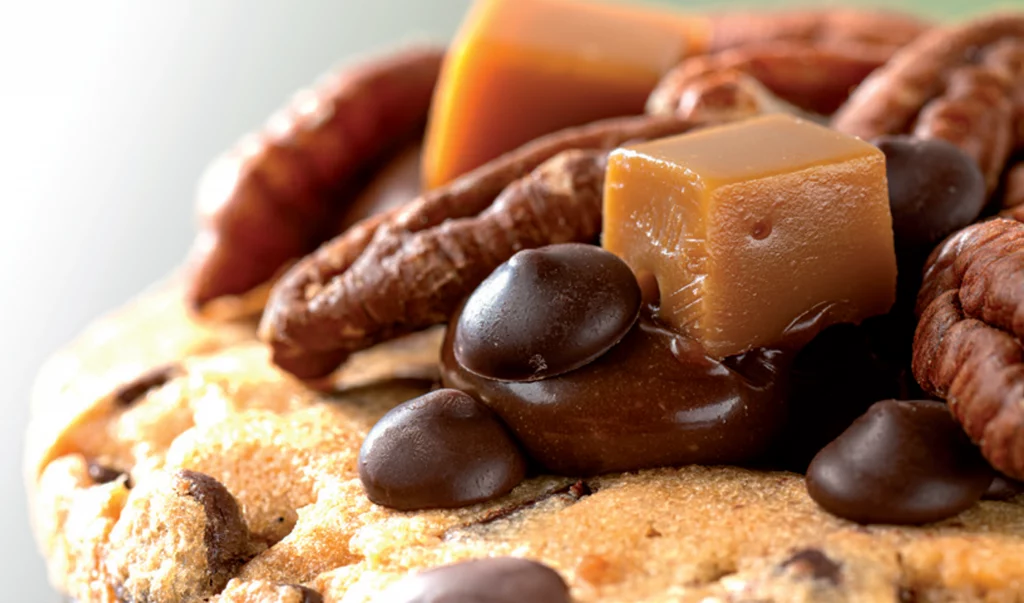 biscotti e panettoni con cioccolato da cottura Felchlin